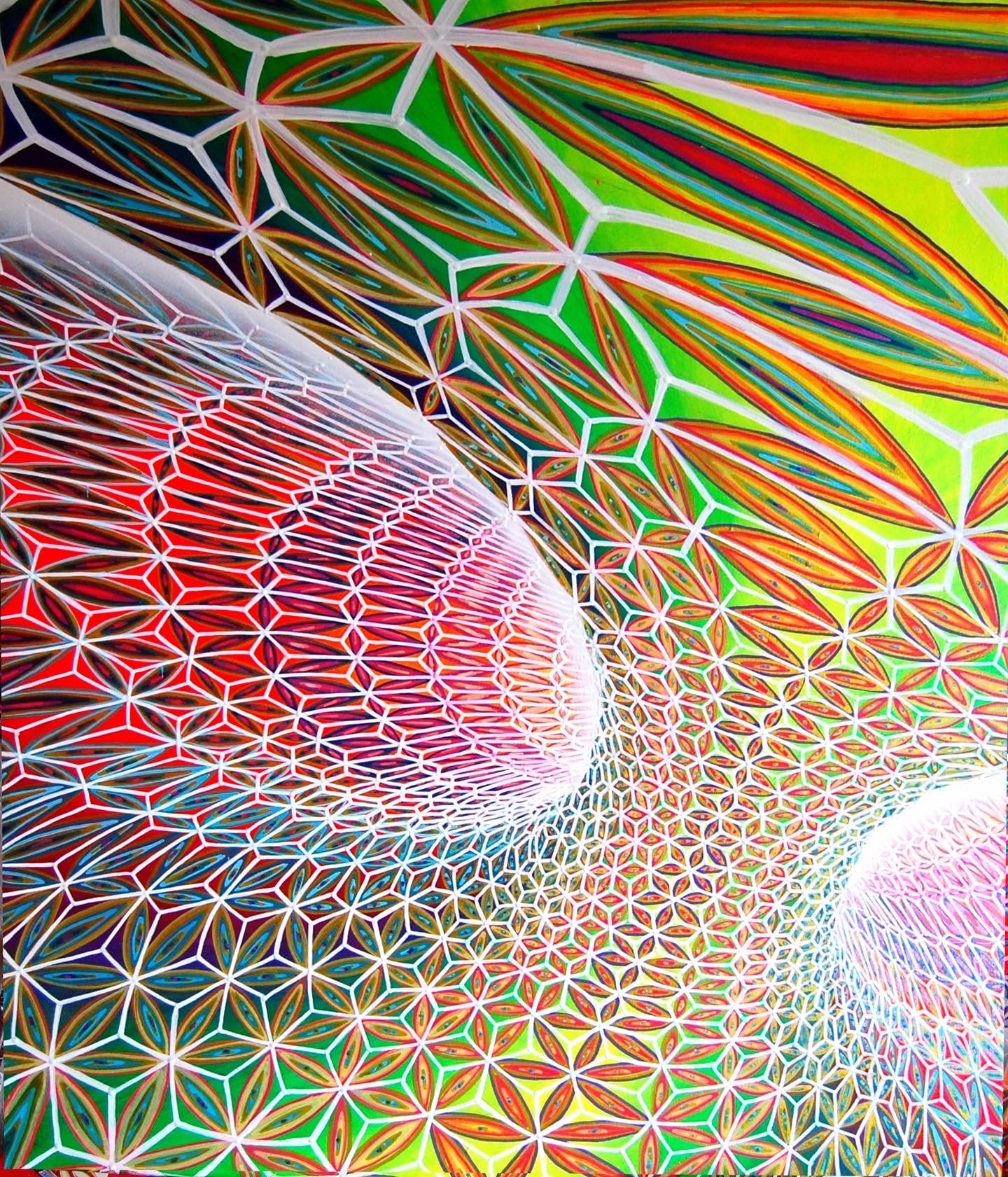 Torus inside 80x100