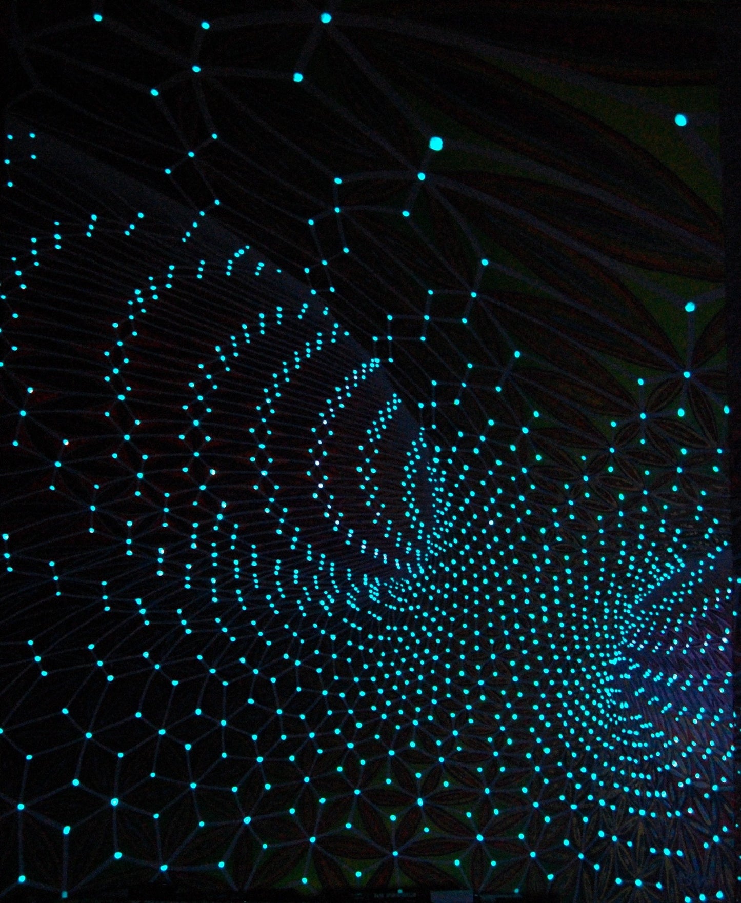 Torus inside 80x100
